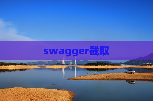 swagger截取